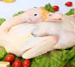 Автоматическая машина для выщипывания утиных перьев цыплят 5 6 вовремя прочные