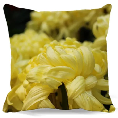 Квадратные наволочки украшение для автомобильного стула 18x18 дюймов 2d принт