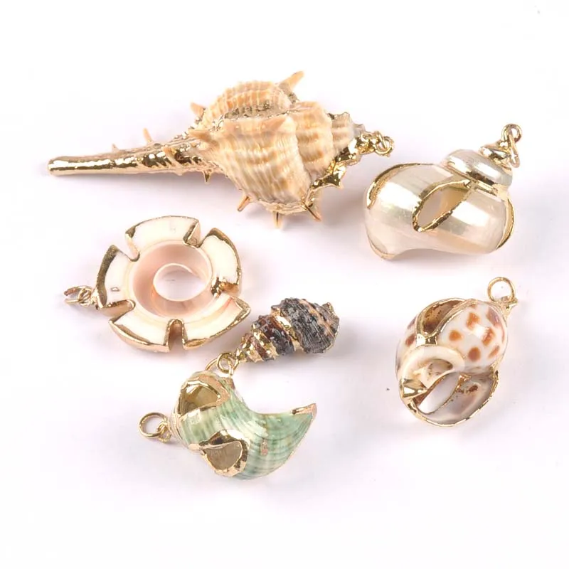 5 шт. позолоченные ракушки для украшения дома|Ракушки и морские звезды| |