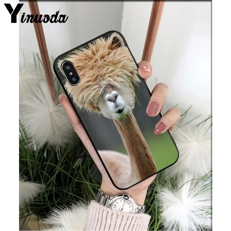 A6 Yinuoda лама Alpacas животное умный чехол черный мягкий чехол для телефона для iPhone X XS MAX 6 6S 7 7plus 8 8Plus 5 5S XR - Цвет: A6