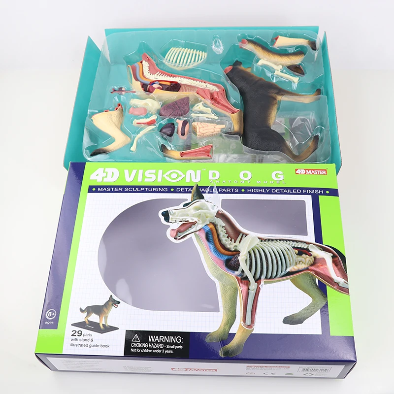 Собака 4d мастер головоломка Сборка игрушки животных биология орган анатомическая модель для медиков обучающая модель