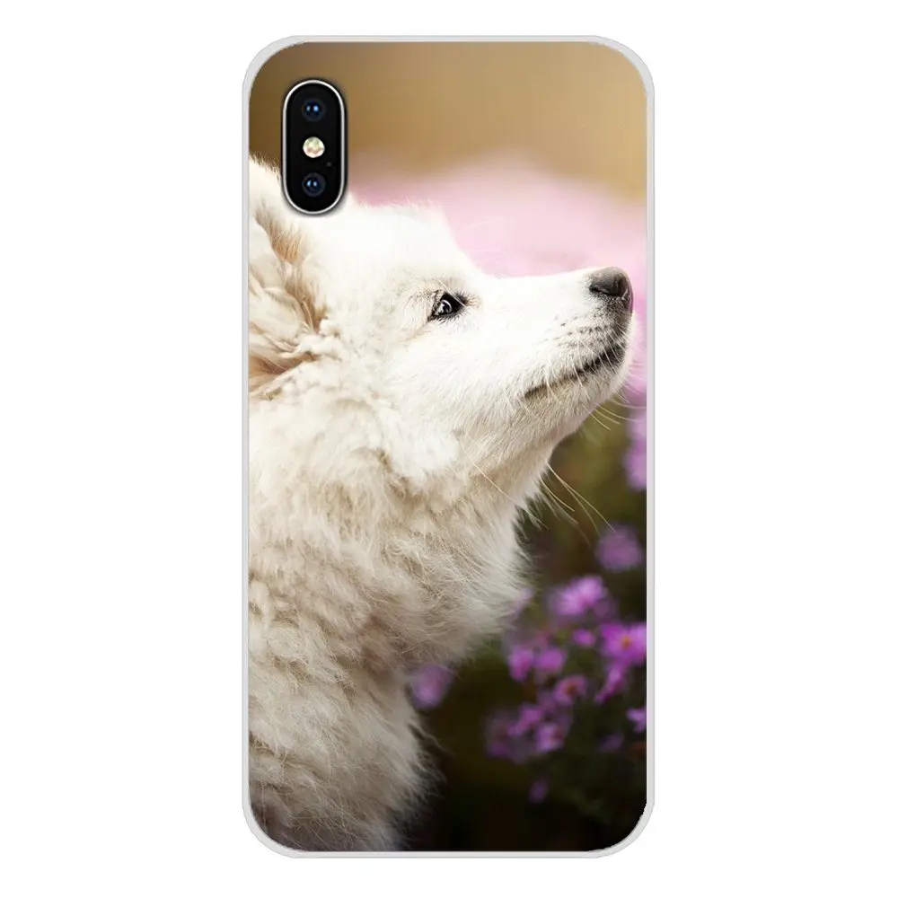 Для Apple iPhone X XR XS MAX 4 4S 5 5S 5C SE 6 6S 7 8 Plus ipod touch Аксессуары чехлы для телефонов Samoyed puppy dog