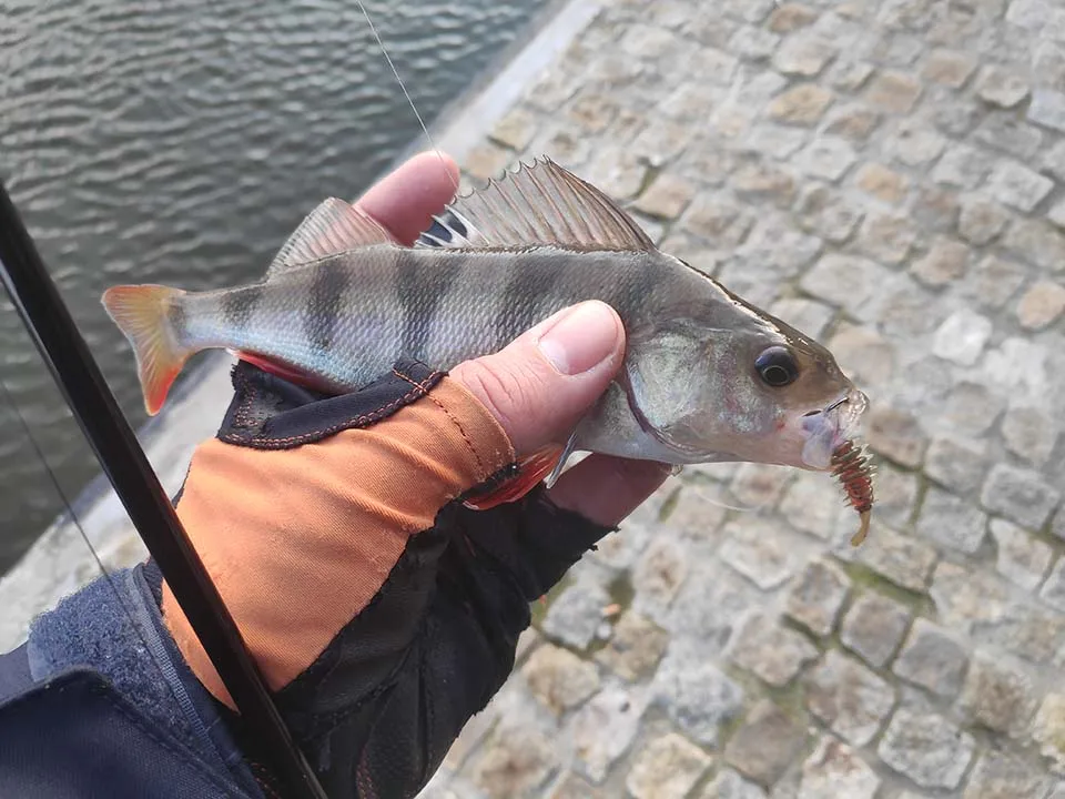 WALK FISH 10 шт./лот личинка мягкие приманки 35 мм 50 мм Искусственные приманки рыболовный червь силиконовый бас Щука Гольян Swimbait отсадочные приманки