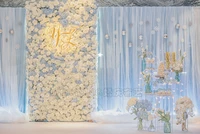 10ft x 20ft light blue ice silk with chiffon 2 layers wedding backdrop stage curtain wedding decoration