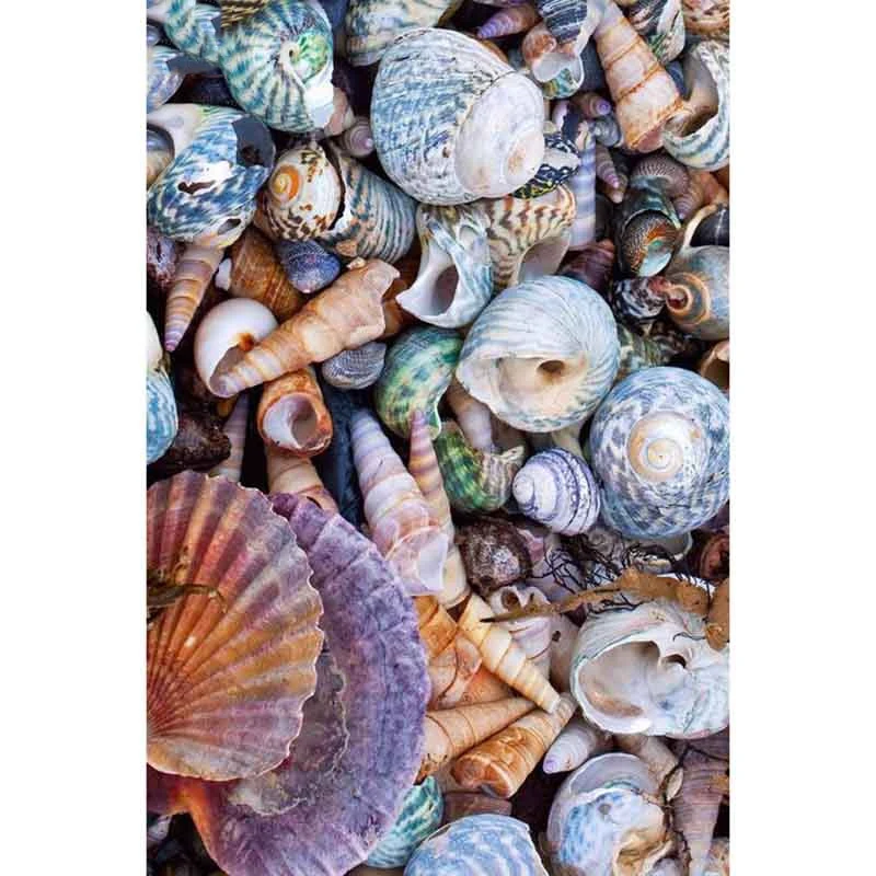 

Full square/Round drill Diamond embroidery Nice shells 5D DIY diamond Painting Cross Stitch Rhinestone Mosaic decor HYY