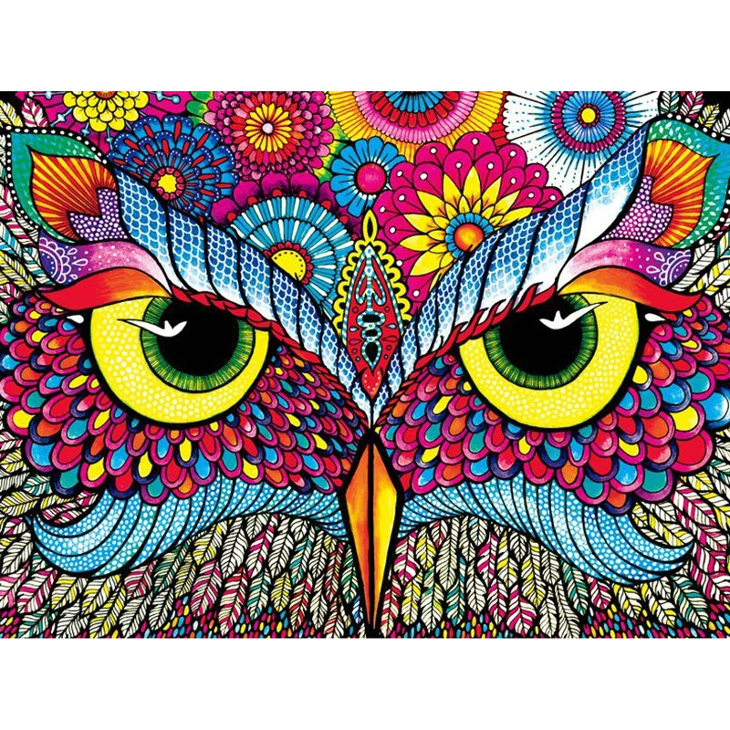 

YIKEE diamond painting Owl face,diamond painting full drill,5d painting K320