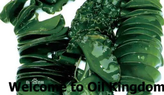 wholesale!!skin care oil Free shopping 100% pure plant Seaweed extract Vitamins A B C E amino acids Sargassum | Красота и здоровье