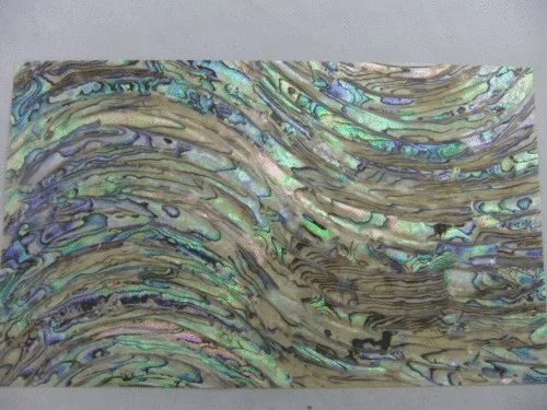 1 шт. натуральная модель ножа бумага в виде морской оболочки Новой Зеландии