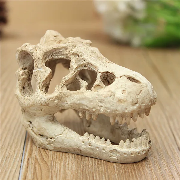 Aquarium Terrarium Decoration Crocodile Skull for Fish Tank Resin Ornament Intravital skull lizard scorpion box | Дом и сад