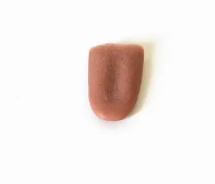 Prank Toys Cosplay Accessories Realistic Fake Tongue Joke Prank Magic Tricks Halloween Horrific Prop April Fools' Day Gift ZXH