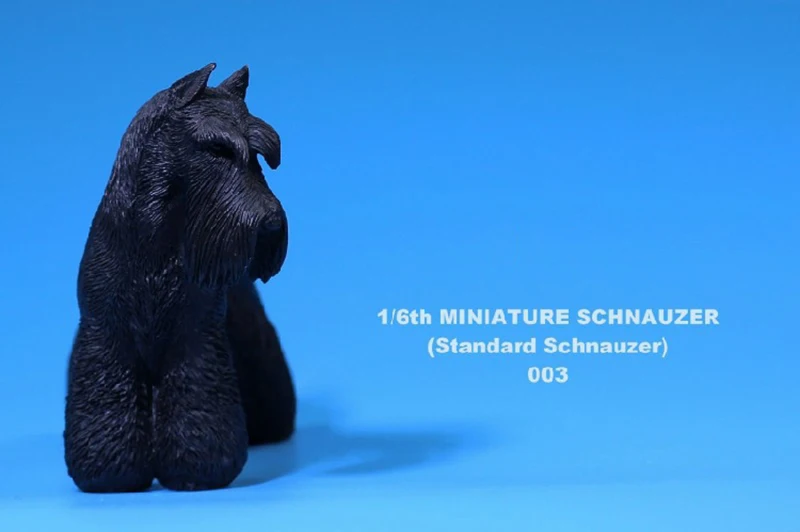 Для коллекции 3 цвета модели 1/6 миниатюрная фигурка собаки шнауцера модель животного MRZ019
