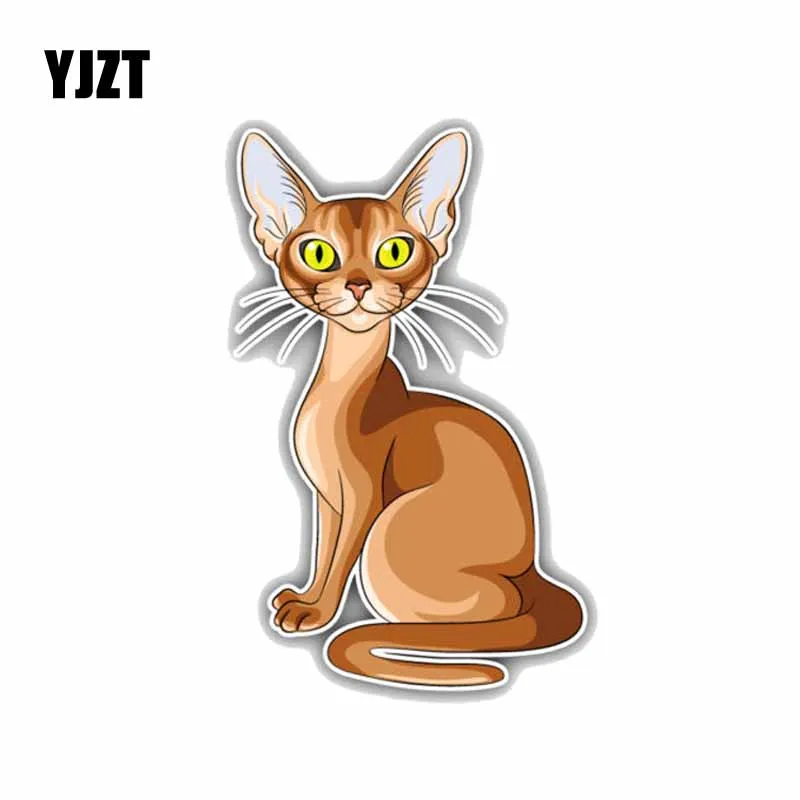 YJZT 8 8*14 см тычистая кошка Детская модель|car sticker|car decorationcar decoration stickers |