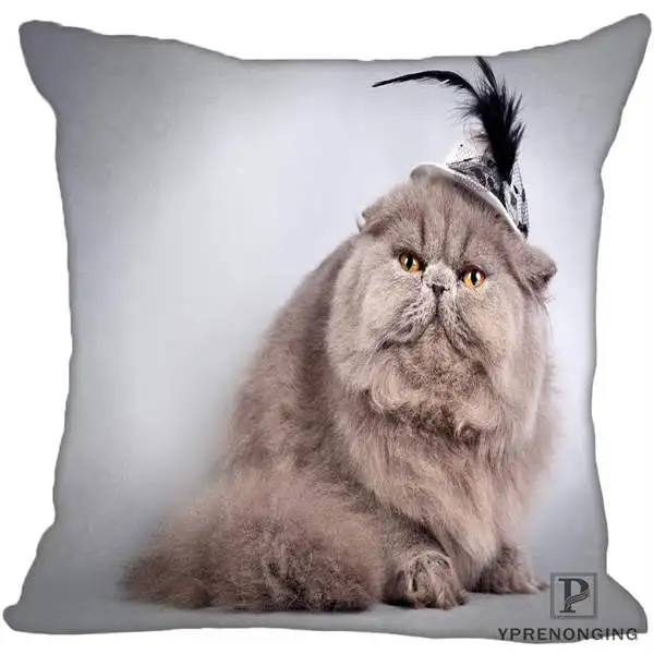 Square Pillowcases Custom Decorative Pillowcase Cats Kitten Rain Square Zippered Pillow Cover(One Side)80527-21-03 - Цвет: Square Pillowcases