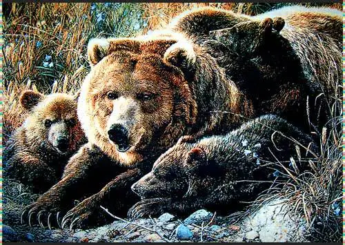 Бесплатная доставка Гобеленовые ковры модные декоративные картины