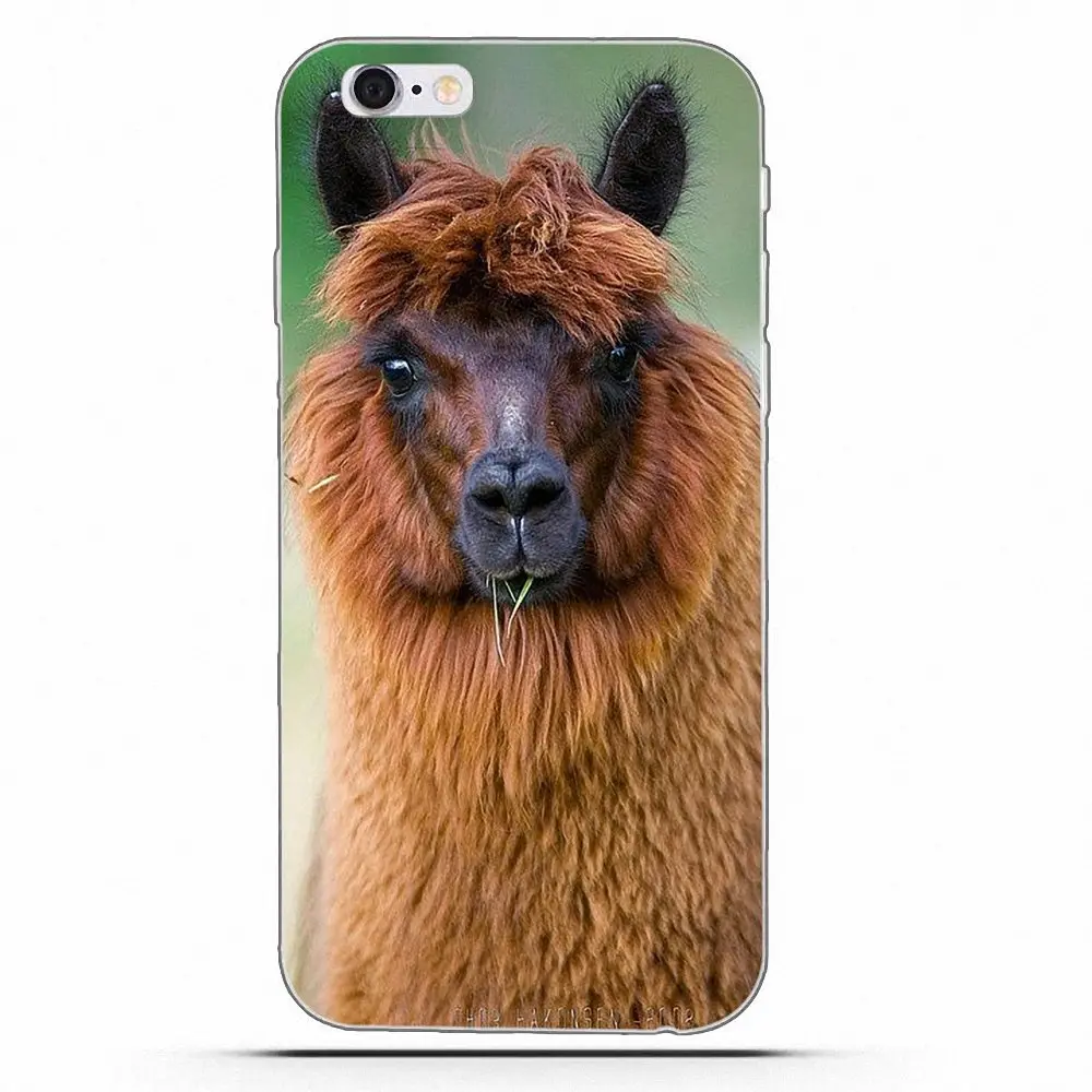 Swag Llama Alpacas для Apple iPhone 4 4S 5 5C 5S SE 6 6S 7 8 Plus X Мягкие ТПУ чехлы мобильных телефонов |