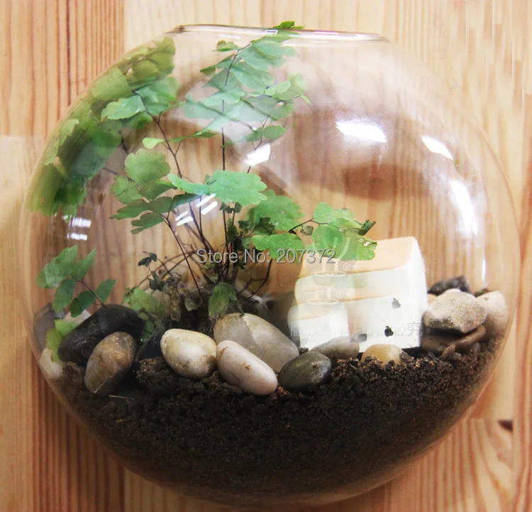 2 шт./лот прозрачная Хрустальная настенная ваза для растений украшение