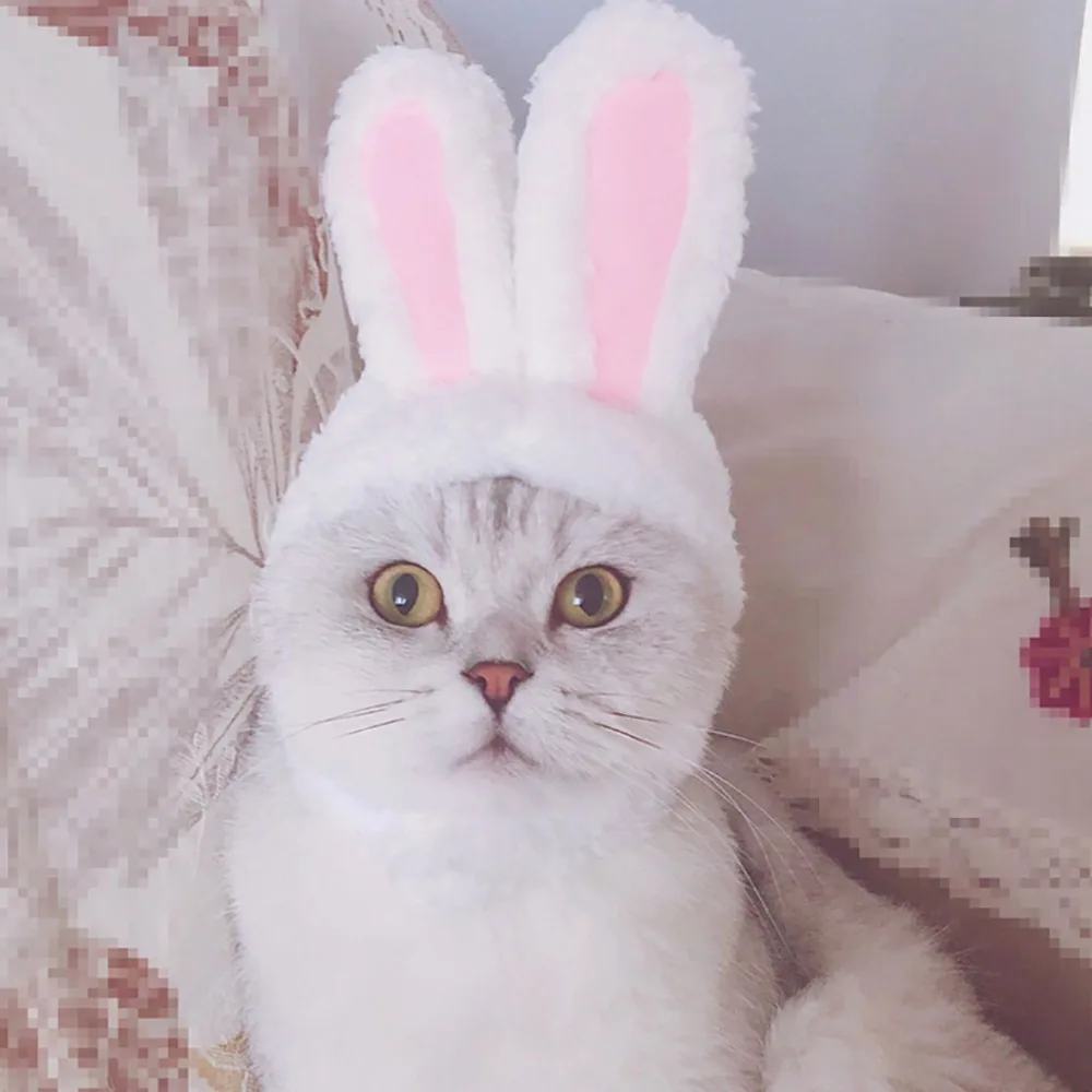 Милые заячьи ушки Cat худи для маленьких собак Мягкий трикотажный свитер щенка