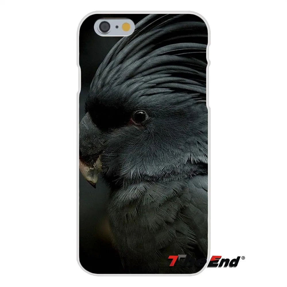For HTC One M7 M8 A9 M9 E9 Plus Desire 630 530 626 628 816 820 Silicon Soft Phone Case Blue Ringneck Parrot Art Print | Мобильные