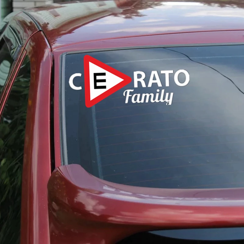 CS-958#48*21см наклейки на авто Знак Шипы (ГОСТ) Cerato family водонепроницаемые машину