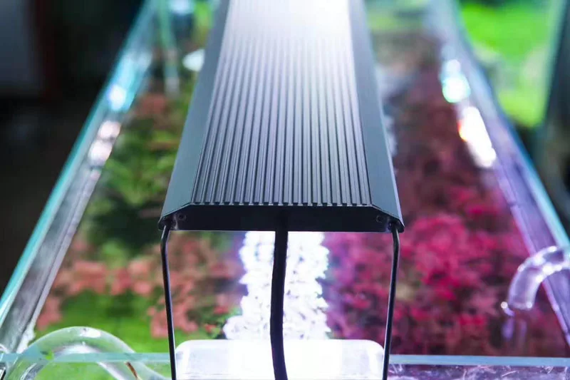 Новинка Chihiros RGB A plus серия Светодиодная лампа для роста растений WRGB таймер восхода солнца заката водяное растение для аквариума командор 4