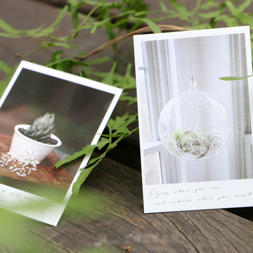 

multi-use 5.2*8cm 54pcs Mini Card plant under sun style Scrapbooking party invitation cards valentine Christmas Scrapbooking