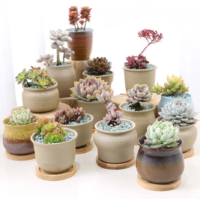 1 шт. керамический цветочный горшок для суккулентов мясистые растения в стиле
