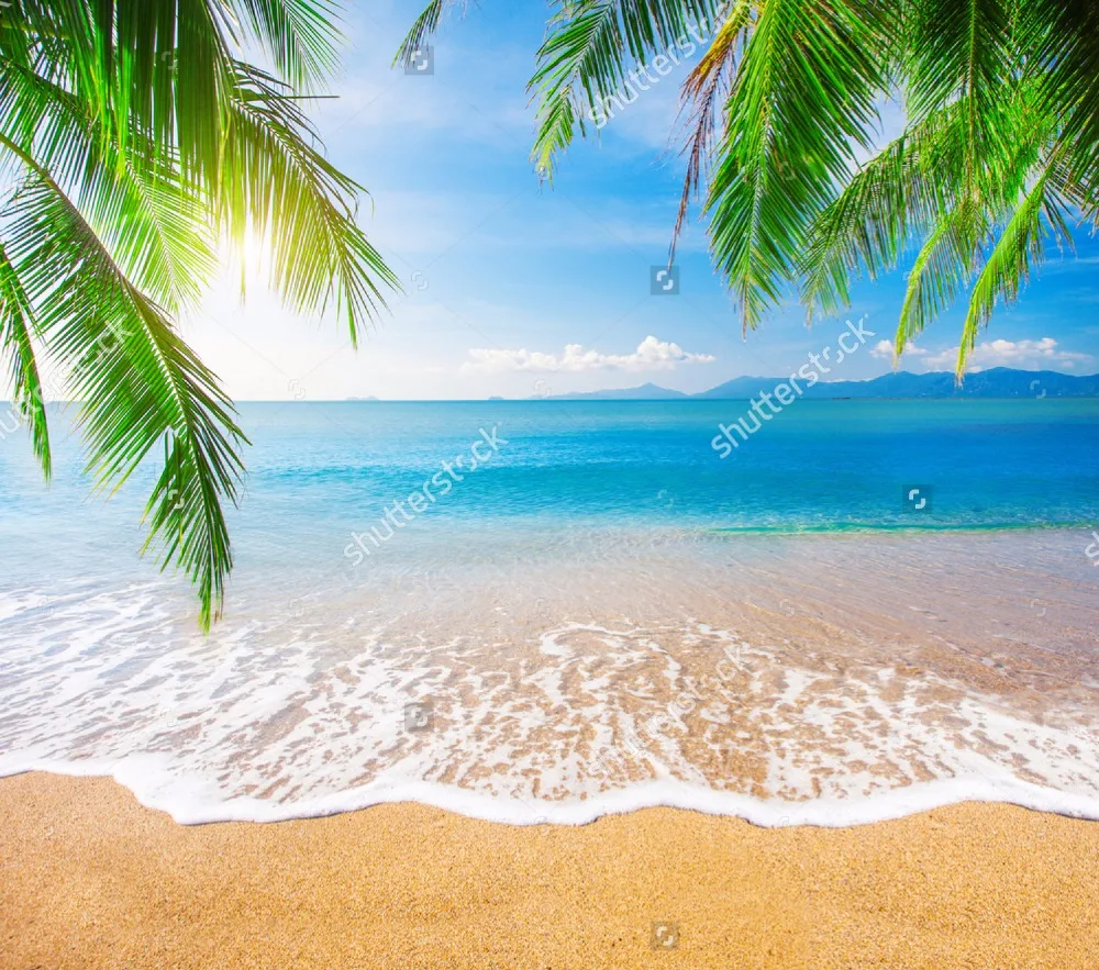 Пользовательские украшения дома обои пальмы и тропический пляж природный пейзаж