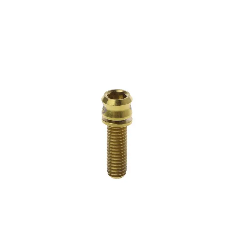 19mm gold Винт Велосипедный тормозной диск болт M6x17/19 мм титановый сплав MTB части для шоссейного велосипеда ремонт замена аксессуары для велоспорта - Цвет: 19mm gold