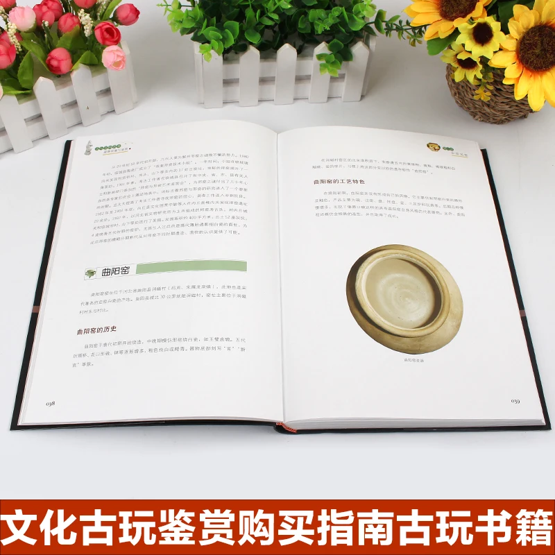 Рисунок 3 - Китайская книга, фарфоровая коллекция,