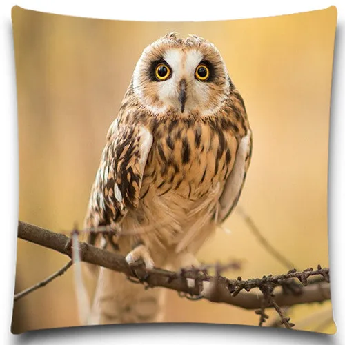 Чехол Подушка квадратная из хлопка с рисунком животных и совы|cushion cover|pillow case