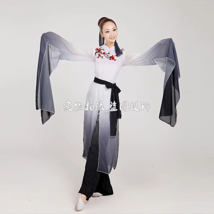 

woman Gradient ink water sleeves costumes Chinese Classical dance clothes Plum tears embroidery Hanfu ancient fairy set