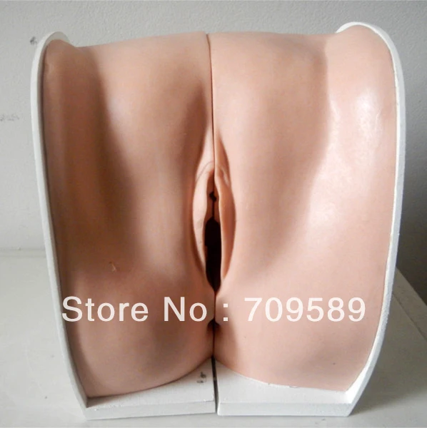 Реалистичный симулятор ИСО IUD женская модель контрацепции | Канцтовары для офиса