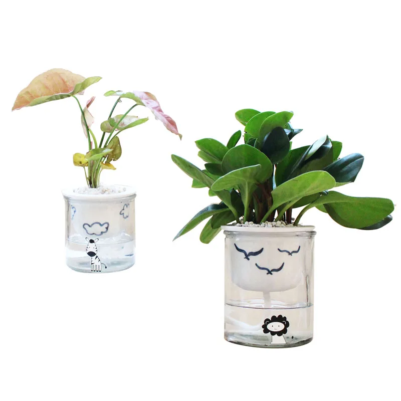 Автоматический абсорбент ленивый человек зеленая посадка керамический