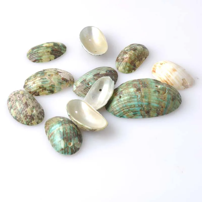 Зеленая натуральная спиральная Sicircle Seashell для ветряных колокольчиков аксессуары