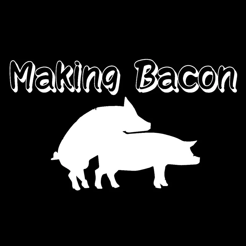 

16.8cm*9.7cm Making Bacon Motorcycle Car Sticker Vinyl Car-Styling S4-0626