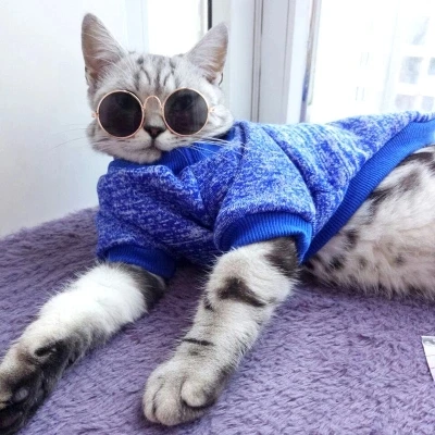 Pet Four Seasons warm clothes cat sweatshirt casual Teddy cashmere knit sweater two-legged Dress |