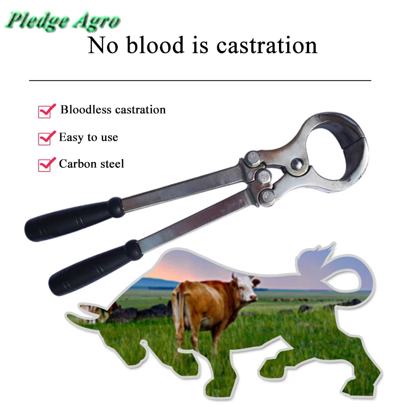 Burdizzo castrator крупного рогатого скота кастрационный нож плоскогубцы инструмент Устройства ветеринарные инструменты rimer emasculator бескровный зажим forcep
