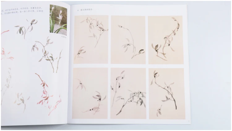 Коллекция орхидеи для рисования свободная ручная живопись техника цветов книга