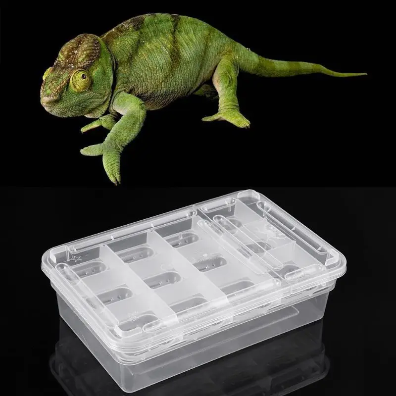 24 слота под рептилию инкубатор коробка лотков для яиц Gecko Хамелеон