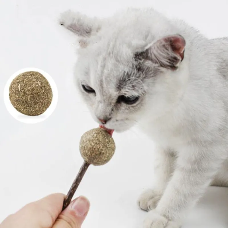 Cats Pet Products Catnip Lollipop Ball With Stick Cat Toy Kittens Love Playing Toys For |