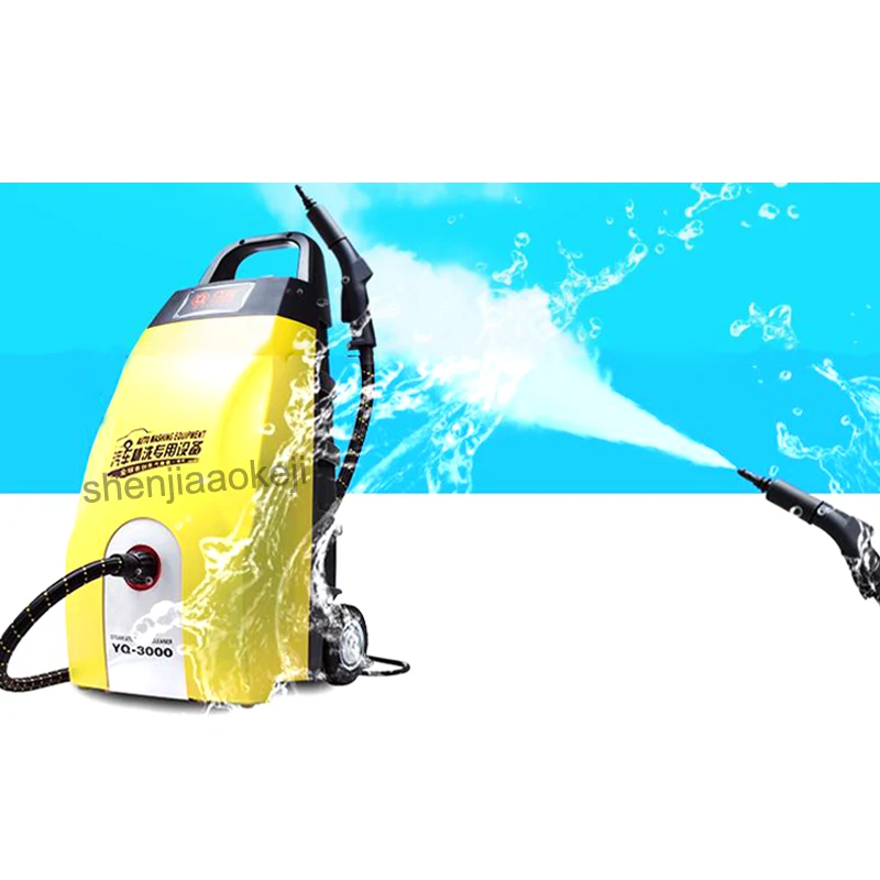 1 шт. Паровая стерилизация чистая машина струя ручной очиститель автомобильный