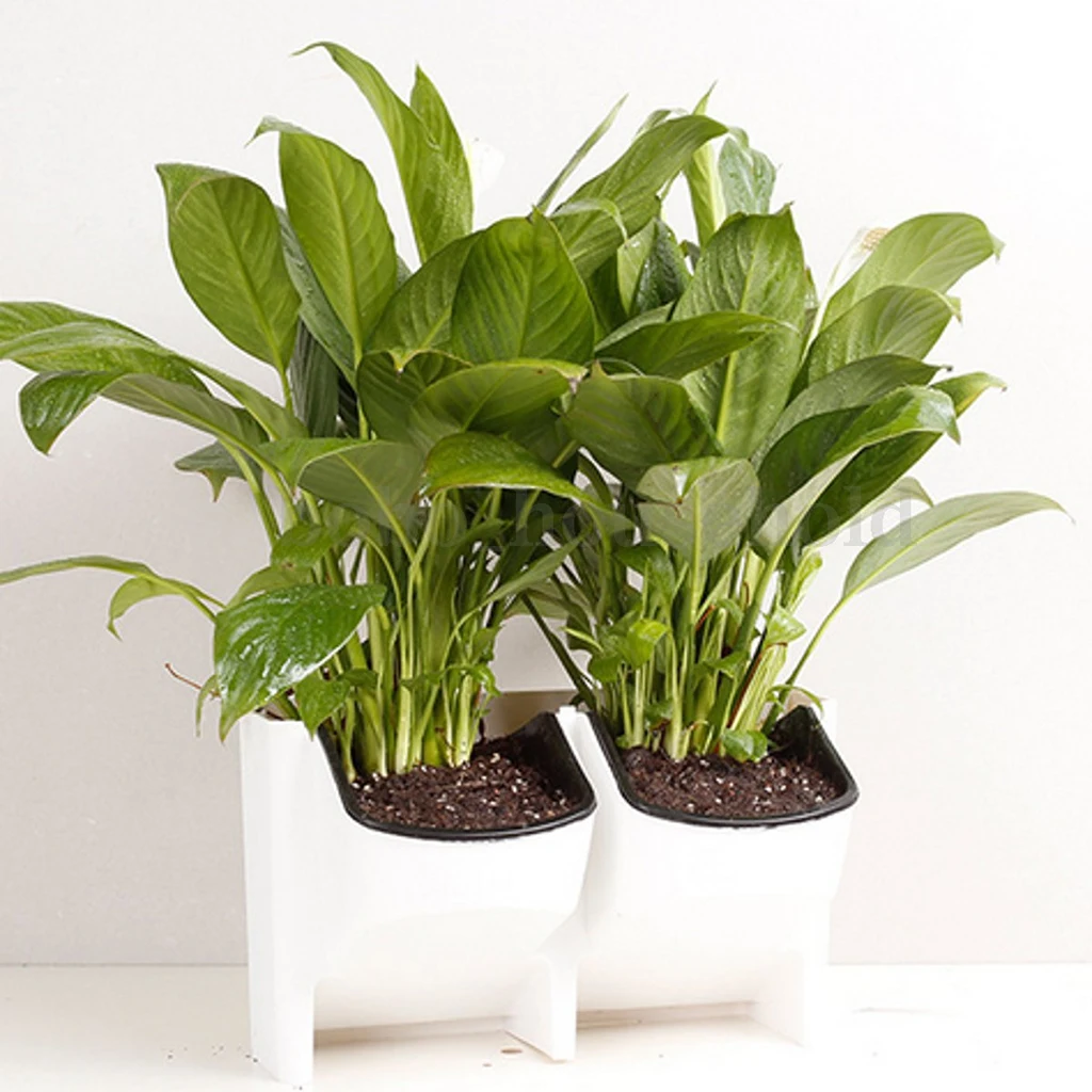 

4Piece Stackable 2-Pocket Wall Planter Hanging Plant Pot Self Watering White