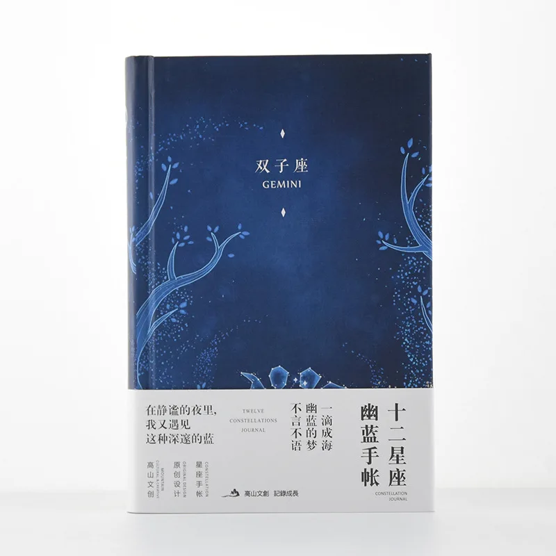 Gemini Новая записная книжка с созвездием, звездная обложка, твердый переплет, дневник, альбом для зарисовок, несколько внутренних страниц, записная книжка, канцелярские принадлежности, подарок - Цвет: Gemini