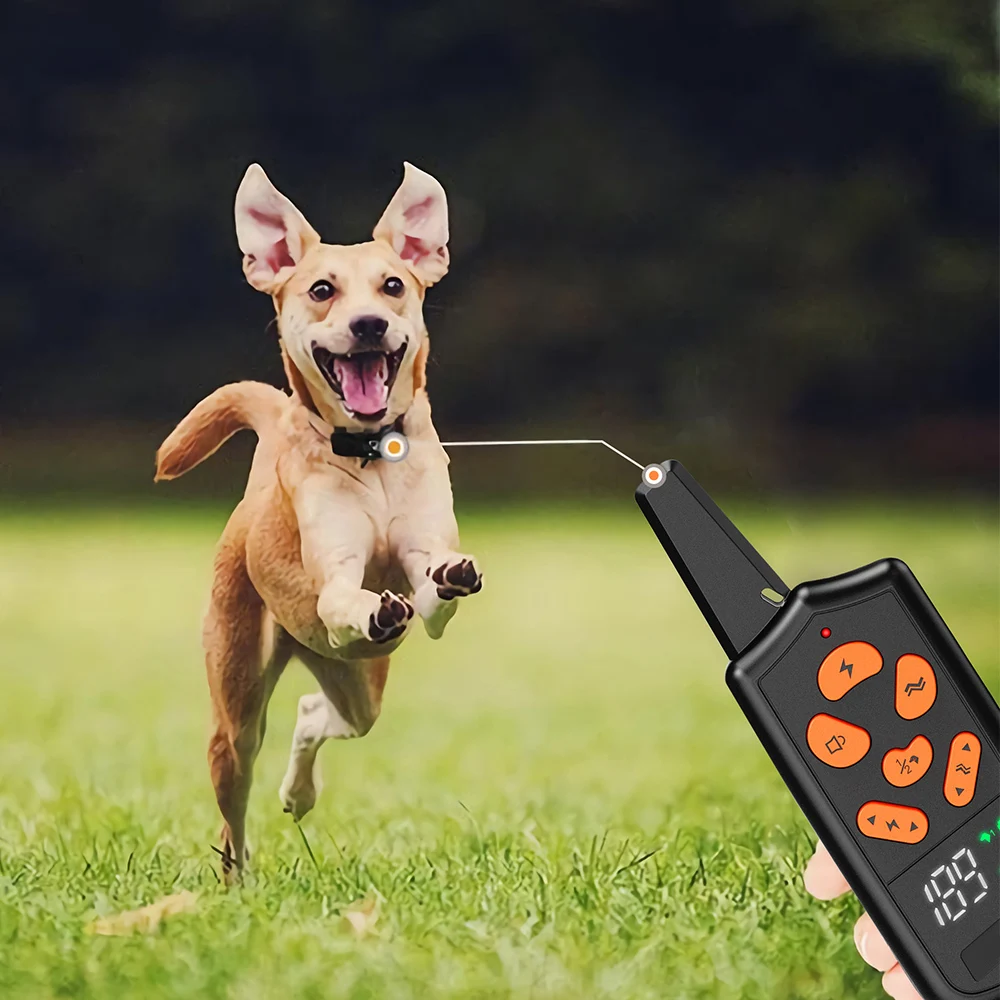 Электрический тренировочный ошейник для собак USB Перезаряжаемый