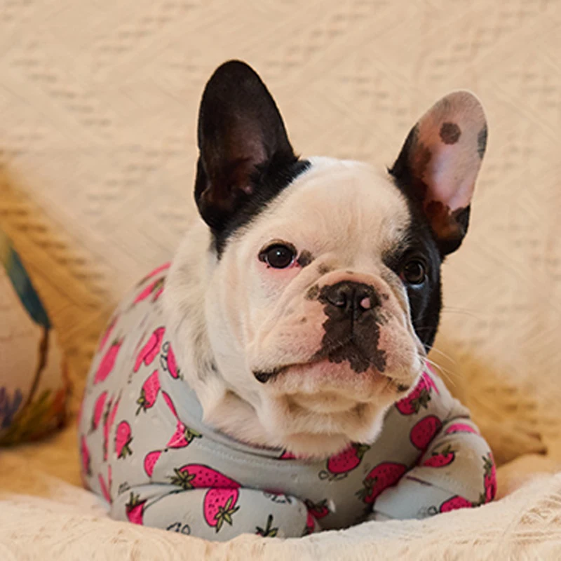 Худи для домашних собак, с рисунком в виде клубники, для щенков, одежда рубашка хлопок для малых свитер для собаки Французский Бульдог-Мопс для собак без изготовленный на заказ