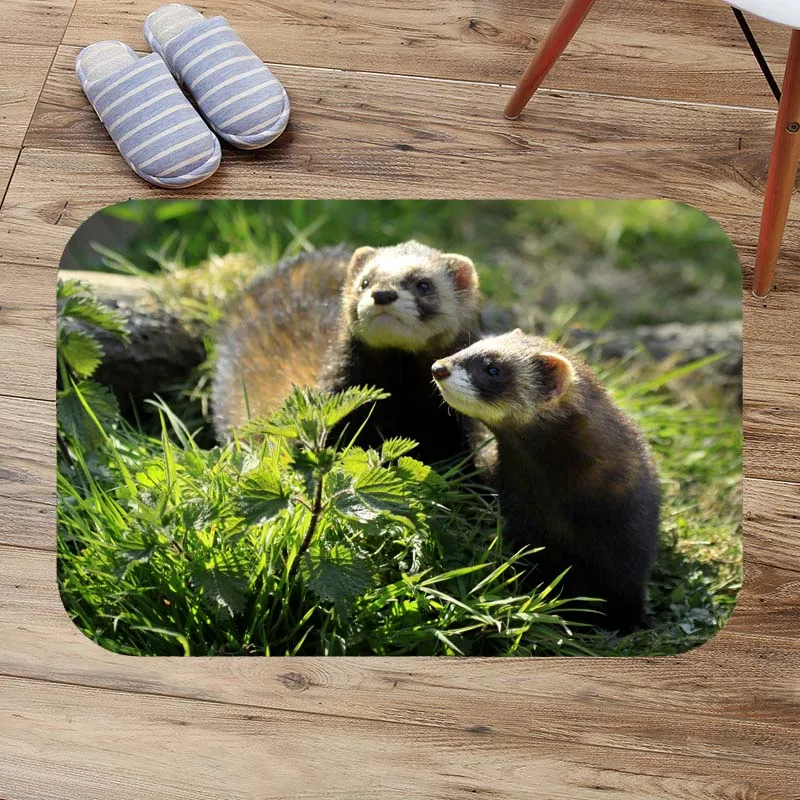 Противоскользящий коврик для ванной Ferret коралловый флисовый моющийся туалета