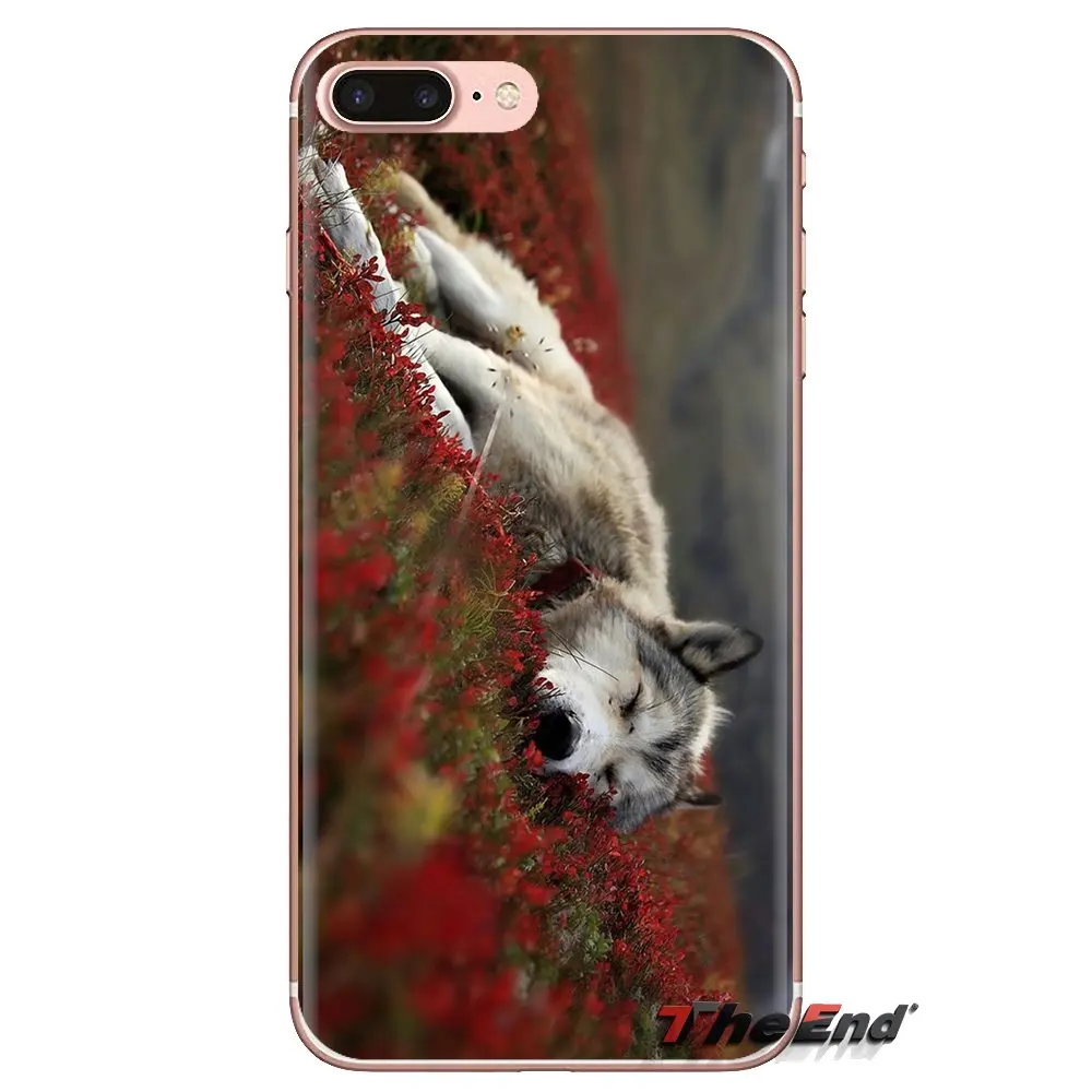 For Samsung Galaxy J1 J2 J3 J4 J5 J6 J7 J8 Plus 2018 Prime 2015 2016 2017 Transparent Soft Cases Covers Wolve Sexy |