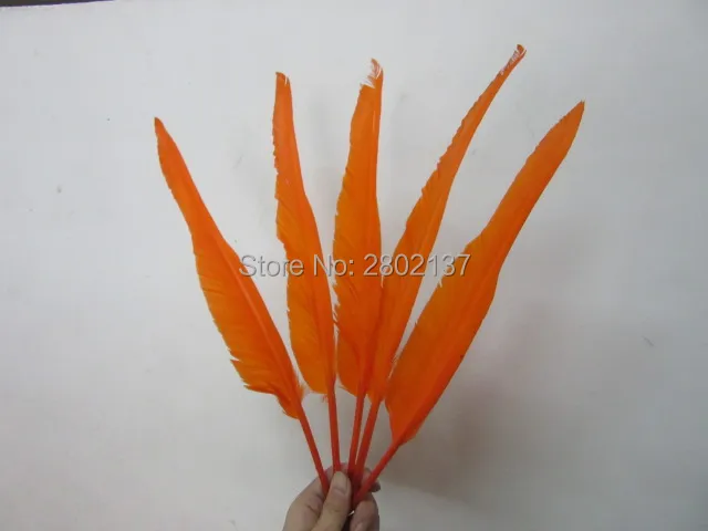 Хорошее чистое оптом скудное 50 шт высококачественные натуральные белые индейки