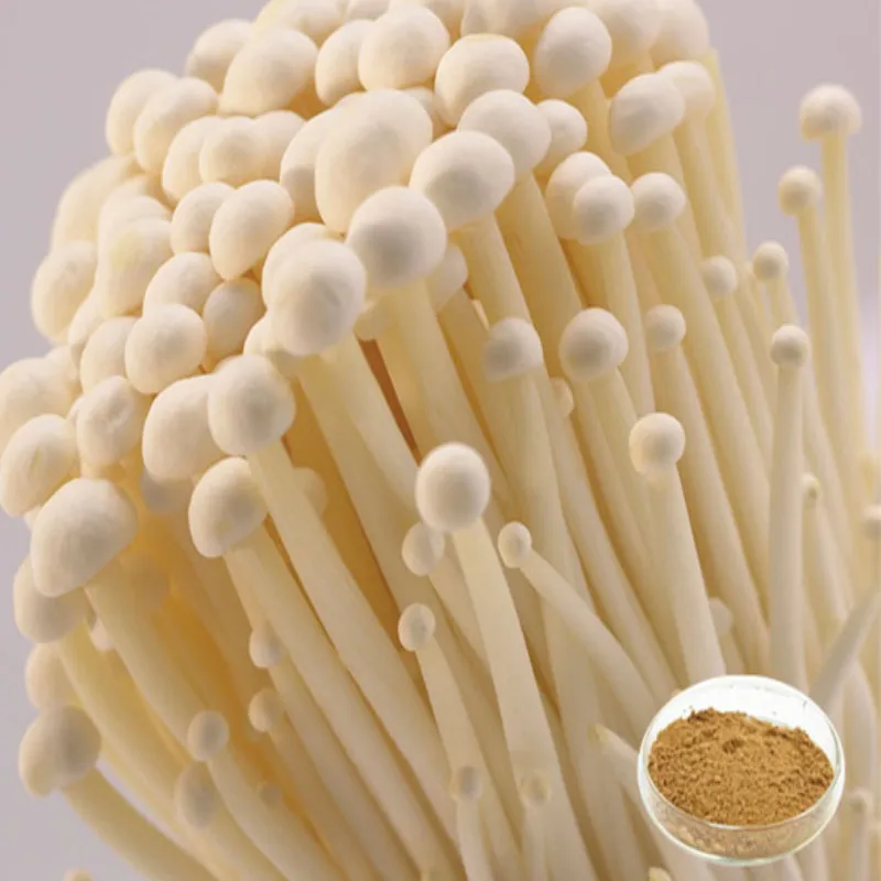 200-500 г Enokitake иглы экстракт гриба 50% полисахариды flammulina velutipes экстракт