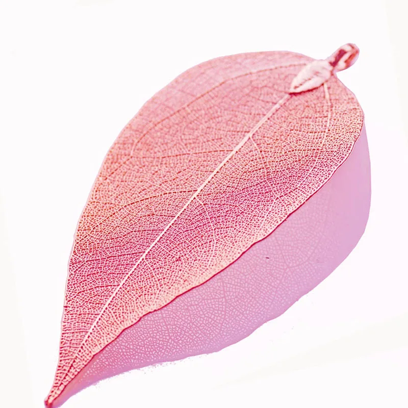 Натуральные листья для изготовления ювелирных изделий амулеты листьев медное